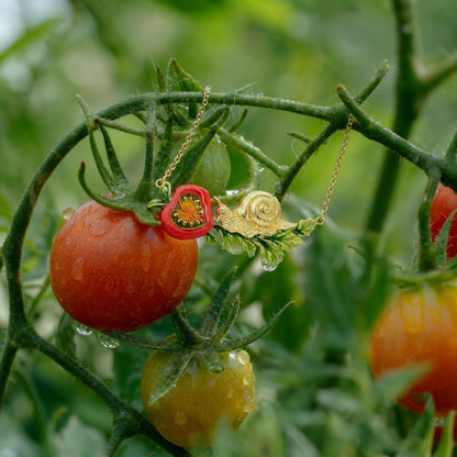 Tomato Necklace